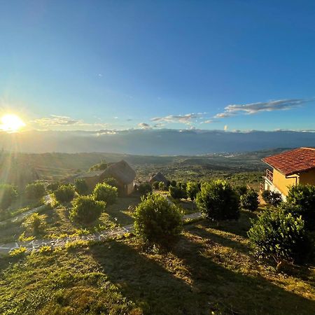 Hotel Carigua Баричара Экстерьер фото